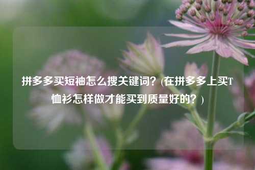 拼多多买短袖怎么搜关键词？(在拼多多上买T恤衫怎样做才能买到质量好的？)