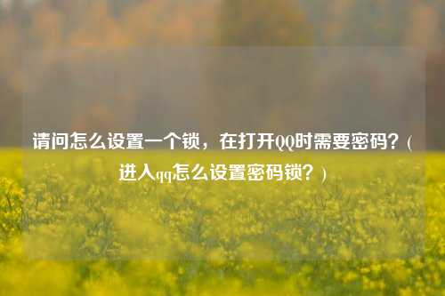 请问怎么设置一个锁，在打开QQ时需要密码？(进入qq怎么设置密码锁？)