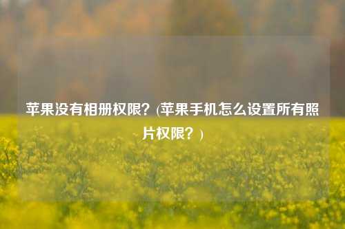 苹果没有相册权限？(苹果手机怎么设置所有照片权限？)