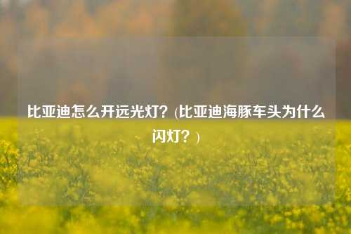 比亚迪怎么开远光灯？(比亚迪海豚车头为什么闪灯？)