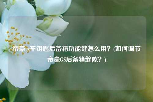 帝豪gs车钥匙后备箱功能键怎么用？(如何调节帝豪GS后备箱缝隙？)