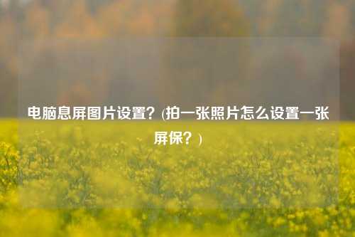 电脑息屏图片设置？(拍一张照片怎么设置一张屏保？)