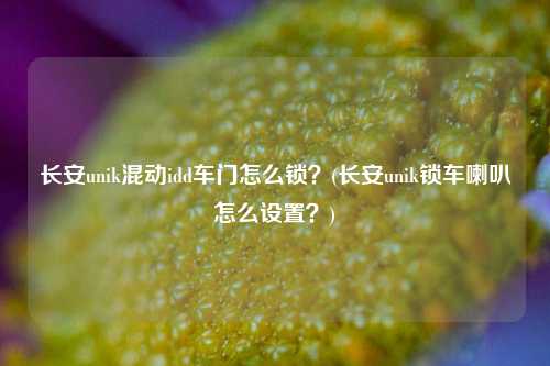 长安unik混动idd车门怎么锁？(长安unik锁车喇叭怎么设置？)