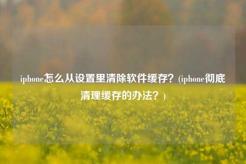 iphone怎么从设置里清除软件缓存？(iphone彻底清理缓存的办法？)