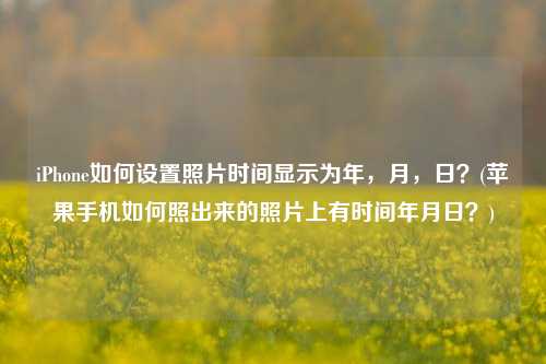 iPhone如何设置照片时间显示为年，月，日？(苹果手机如何照出来的照片上有时间年月日？)