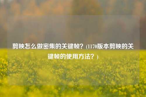 剪映怎么做密集的关键帧？(1170版本剪映的关键帧的使用方法？)