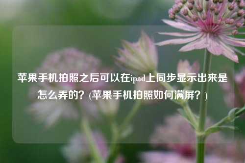 苹果手机拍照之后可以在ipad上同步显示出来是怎么弄的？(苹果手机拍照如何满屏？)