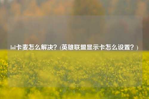 lol卡麦怎么解决？(英雄联盟显示卡怎么设置？)