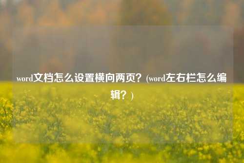 word文档怎么设置横向两页？(word左右栏怎么编辑？)