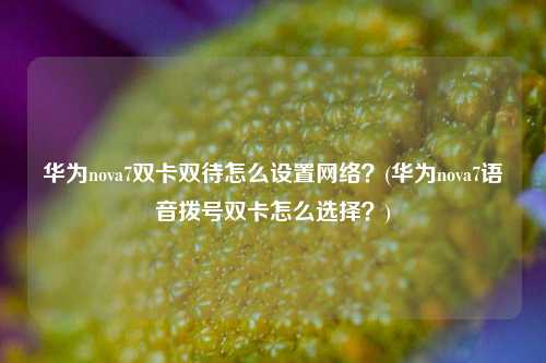 华为nova7双卡双待怎么设置网络？(华为nova7语音拨号双卡怎么选择？)