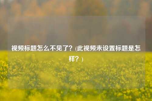 视频标题怎么不见了？(此视频未设置标题是怎样？)