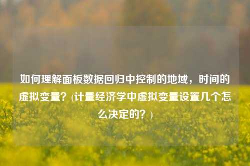 如何理解面板数据回归中控制的地域，时间的虚拟变量？(计量经济学中虚拟变量设置几个怎么决定的？)