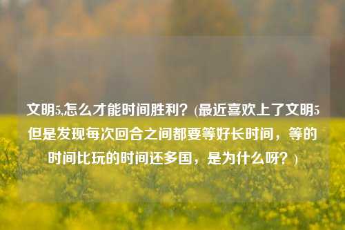 文明5,怎么才能时间胜利？(最近喜欢上了文明5但是发现每次回合之间都要等好长时间，等的时间比玩的时间还多国，是为什么呀？)