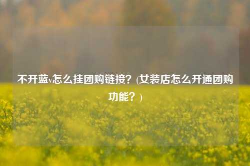 不开蓝v怎么挂团购链接？(女装店怎么开通团购功能？)