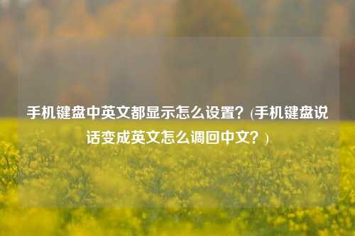 手机键盘中英文都显示怎么设置？(手机键盘说话变成英文怎么调回中文？)