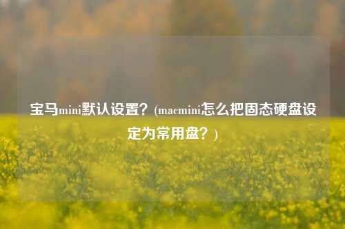 宝马mini默认设置？(macmini怎么把固态硬盘设定为常用盘？)