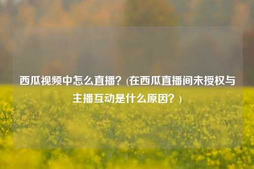 西瓜视频中怎么直播？(在西瓜直播间未授权与主播互动是什么原因？)