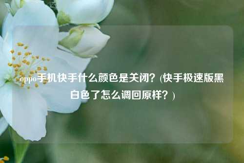 oppo手机快手什么颜色是关闭？(快手极速版黑白色了怎么调回原样？)