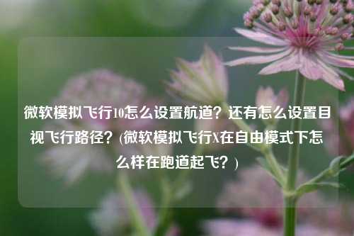 微软模拟飞行10怎么设置航道？还有怎么设置目视飞行路径？(微软模拟飞行X在自由模式下怎么样在跑道起飞？)