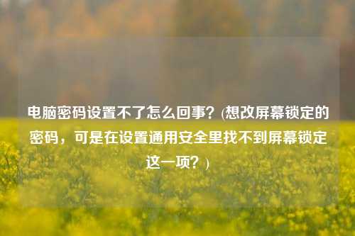 电脑密码设置不了怎么回事？(想改屏幕锁定的密码，可是在设置通用安全里找不到屏幕锁定这一项？)