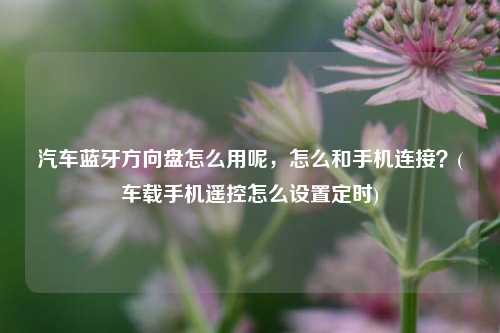 汽车蓝牙方向盘怎么用呢，怎么和手机连接？(车载手机遥控怎么设置定时)