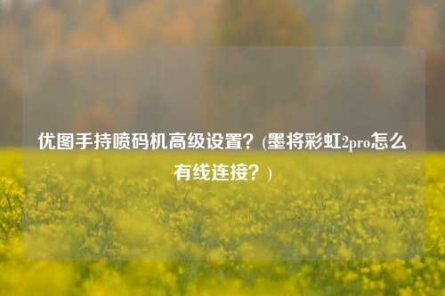 优图手持喷码机高级设置？(墨将彩虹2pro怎么有线连接？)