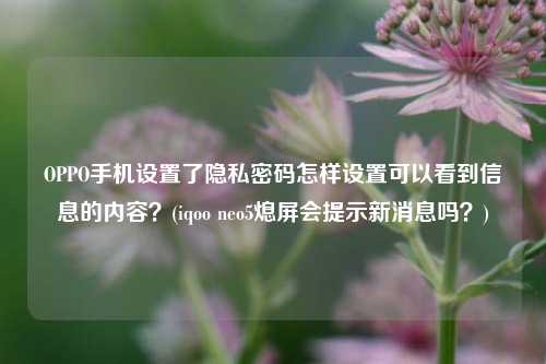 OPPO手机设置了隐私密码怎样设置可以看到信息的内容？(iqoo neo5熄屏会提示新消息吗？)