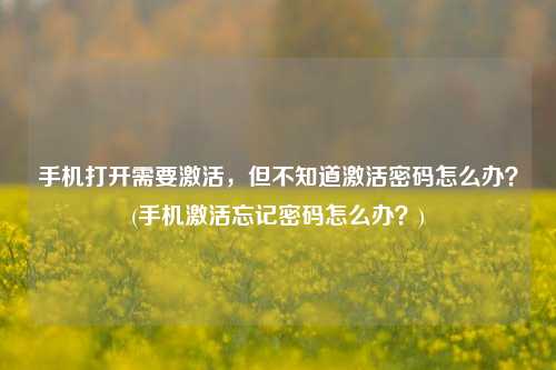 手机打开需要激活，但不知道激活密码怎么办？(手机激活忘记密码怎么办？)