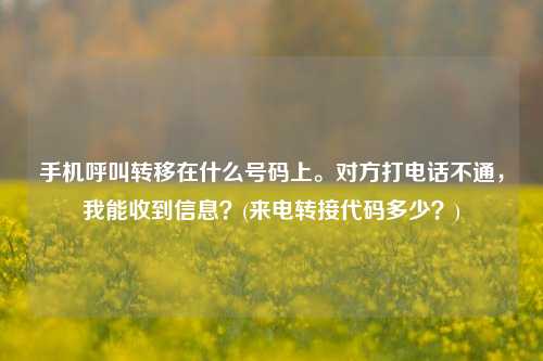 手机呼叫转移在什么号码上。对方打电话不通，我能收到信息？(来电转接代码多少？)