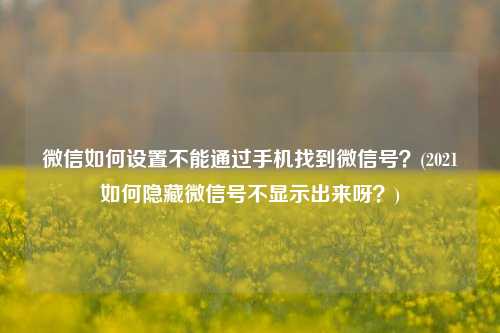 微信如何设置不能通过手机找到微信号？(2021如何隐藏微信号不显示出来呀？)