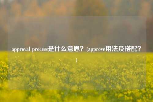 approval process是什么意思？(approve用法及搭配？)