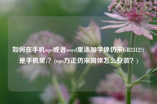 如何在手机wps或者word里添加字体仿宋GB2312?(是手机里)？(wps方正仿宋简体怎么安装？)