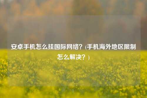 安卓手机怎么挂国际网络？(手机海外地区限制怎么解决？)