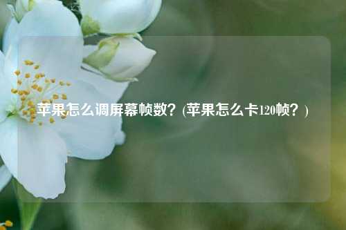 苹果怎么调屏幕帧数？(苹果怎么卡120帧？)