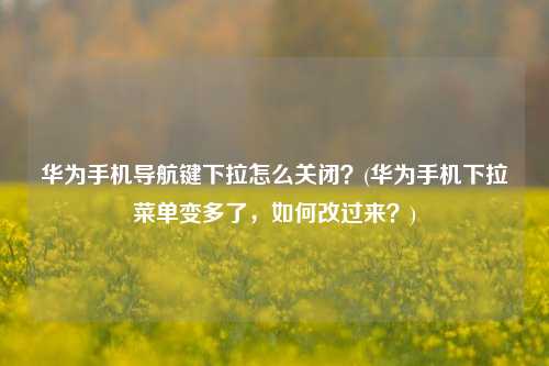 华为手机导航键下拉怎么关闭？(华为手机下拉菜单变多了，如何改过来？)