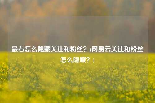 最右怎么隐藏关注和粉丝？(网易云关注和粉丝怎么隐藏？)