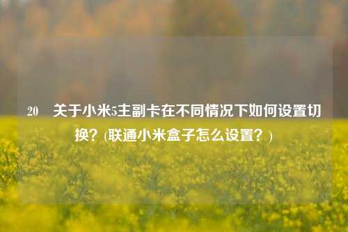 20 关于小米5主副卡在不同情况下如何设置切换？(联通小米盒子怎么设置？)