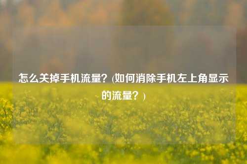 怎么关掉手机流量？(如何消除手机左上角显示的流量？)