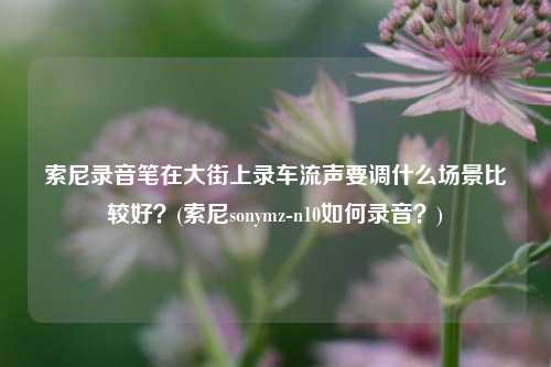 索尼录音笔在大街上录车流声要调什么场景比较好？(索尼sonymz-n10如何录音？)