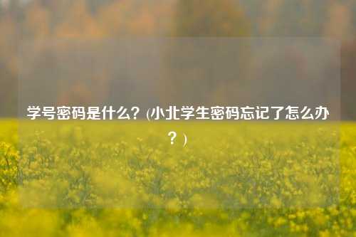 学号密码是什么？(小北学生密码忘记了怎么办？)