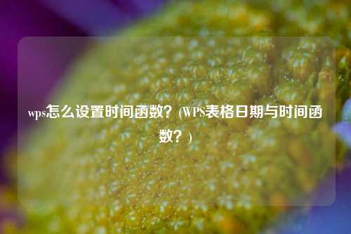 wps怎么设置时间函数？(WPS表格日期与时间函数？)