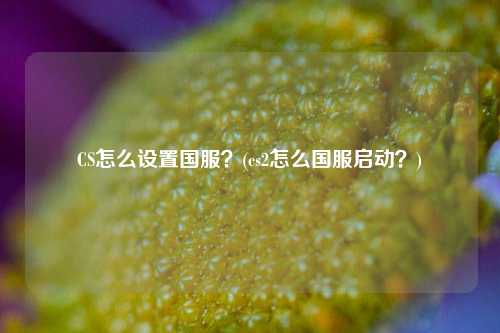 CS怎么设置国服？(cs2怎么国服启动？)