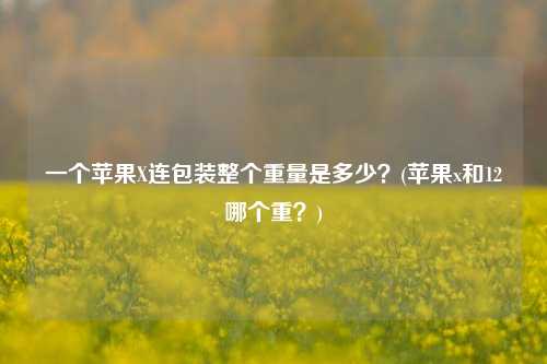 一个苹果X连包装整个重量是多少？(苹果x和12哪个重？)