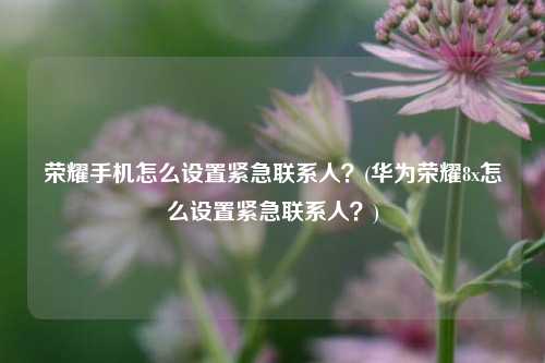 荣耀手机怎么设置紧急联系人？(华为荣耀8x怎么设置紧急联系人？)