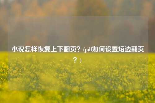 小说怎样恢复上下翻页？(pdf如何设置短边翻页？)