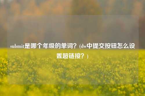 submit是哪个年级的单词？(dw中提交按钮怎么设置超链接？)