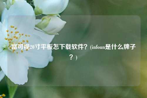 富可视20寸平板怎下载软件？(infoun是什么牌子？)