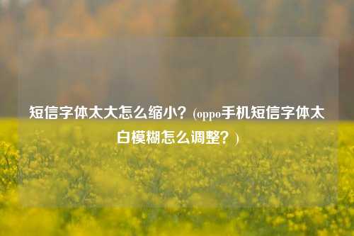 短信字体太大怎么缩小？(oppo手机短信字体太白模糊怎么调整？)