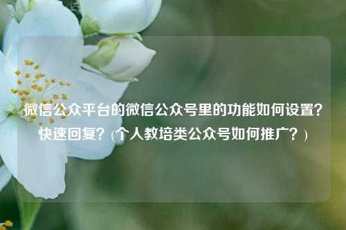 微信公众平台的微信公众号里的功能如何设置？快速回复？(个人教培类公众号如何推广？)