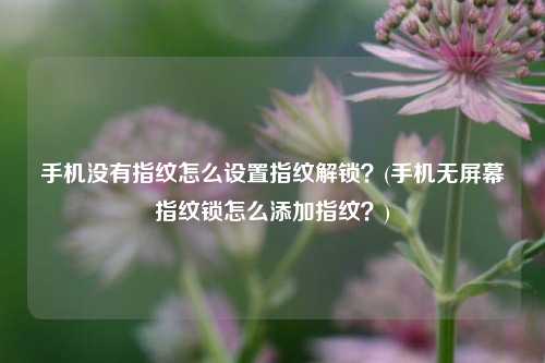 手机没有指纹怎么设置指纹解锁？(手机无屏幕指纹锁怎么添加指纹？)